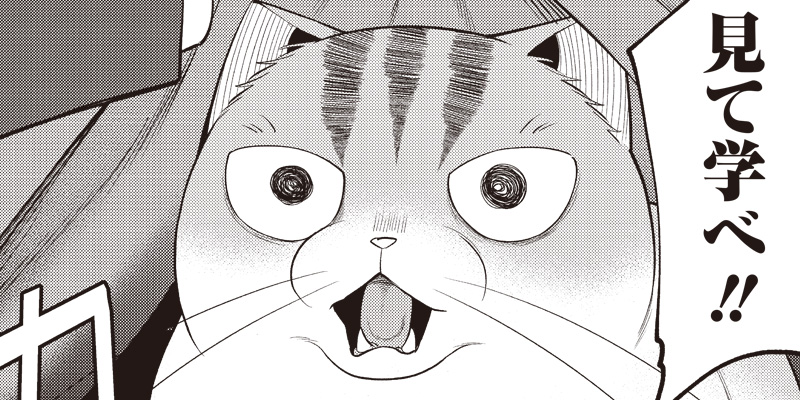 [第23話] 猫が如く