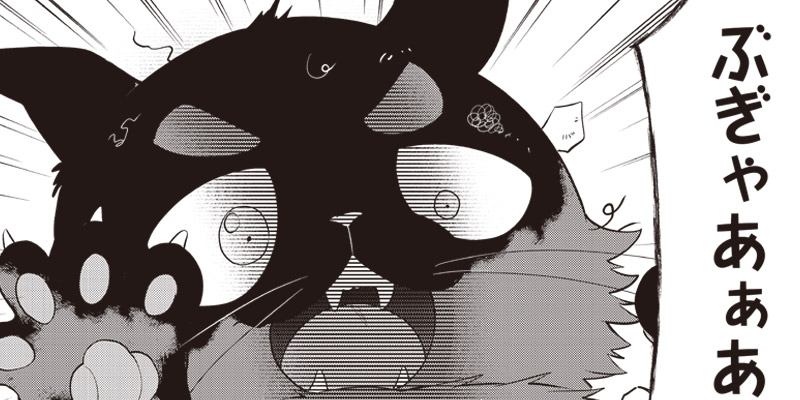 [第24話] 猫が如く