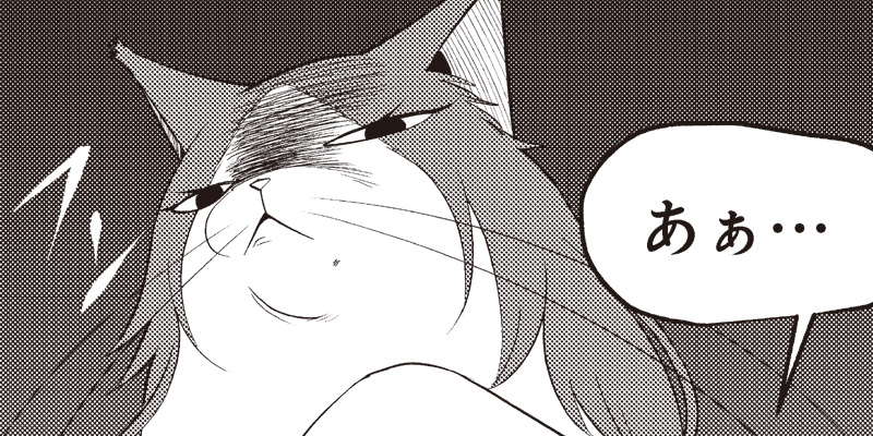 [第30話] 猫が如く