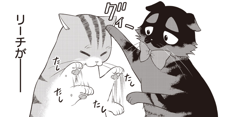 [第35話] 猫が如く