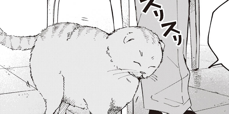 [第15話] 捨て猫と兄妹喧嘩