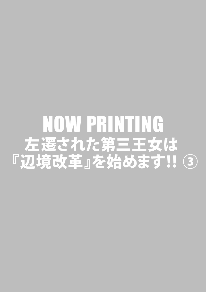 左遷された第三王女は『辺境改革』を始めます!! ③